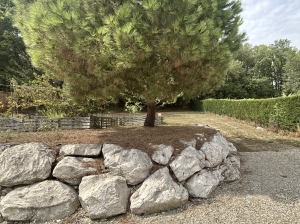 Architect Designed Detached House with Swimming Pool