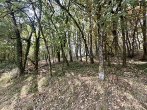 Architect Designed Detached House with Swimming Pool