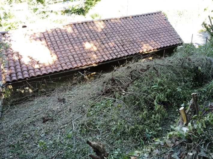 Renovation Project to Complete, Great Location