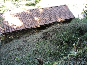 Renovation Project to Complete, Great Location