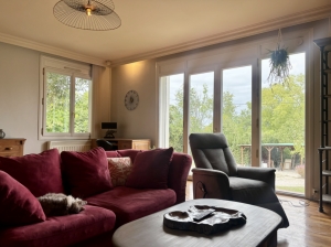 Detached House and Guest Gite with Swimming Pool