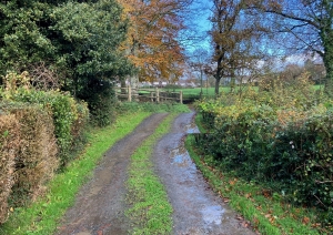 Lovely Country House in Glorious Rural Setting