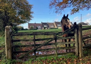 Lovely Country House in Glorious Rural Setting
