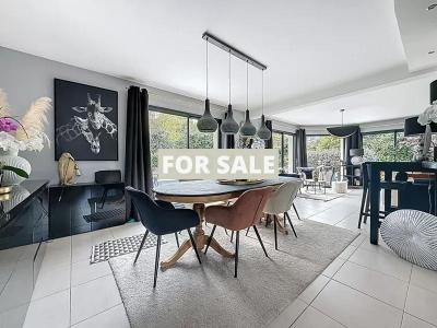 Detached House with Lovely Swimming Pool