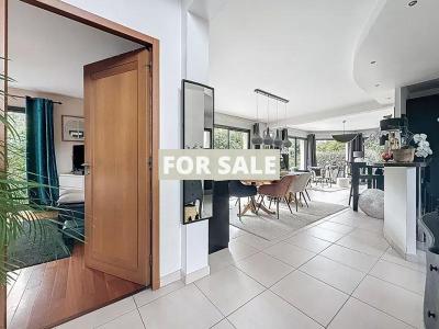 Detached House with Lovely Swimming Pool