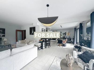 Detached House with Lovely Swimming Pool