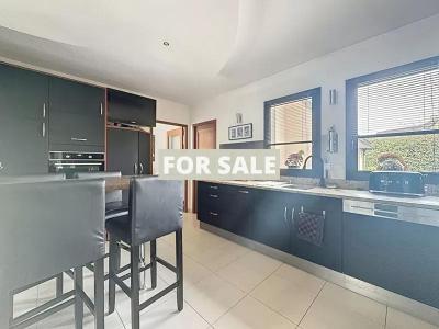 Detached House with Lovely Swimming Pool