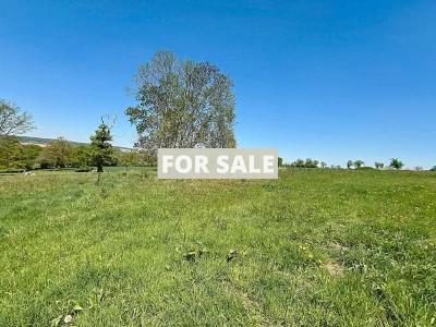 Property For Sale