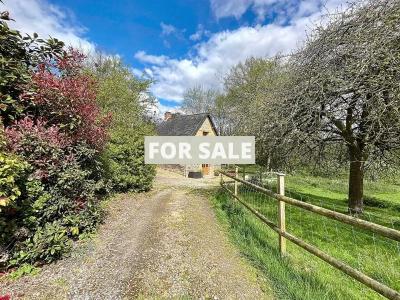 Property For Sale