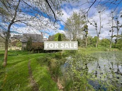 Property For Sale