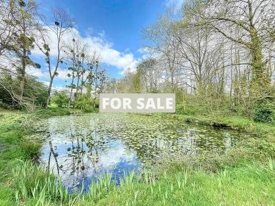 Property For Sale