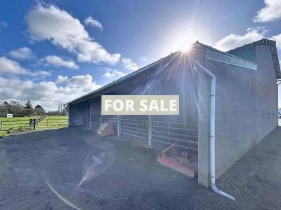 Equestrian Property on 19 Hectares of Land