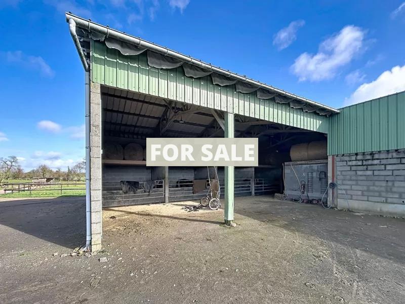Equestrian Property on 19 Hectares of Land