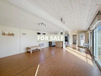 Equestrian Property on 19 Hectares of Land