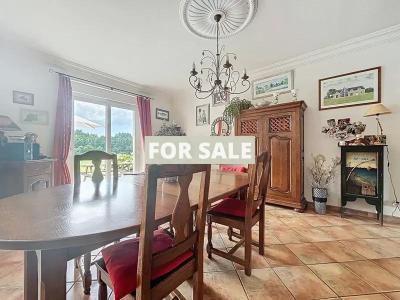 Detached Country House with Lake and Land