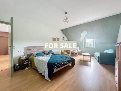 Detached Country House with Lake and Land