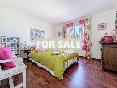 Contemporary Detached House with Swimming Pool