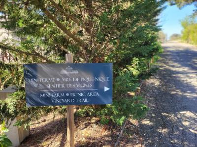 Experience Life in A Chateau in The Heart Of The Vineyards