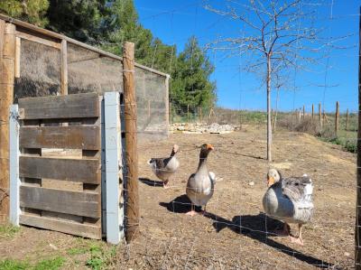 Experience Life in A Chateau in The Heart Of The Vineyards