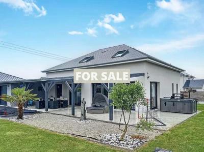 Contemporary Detached House