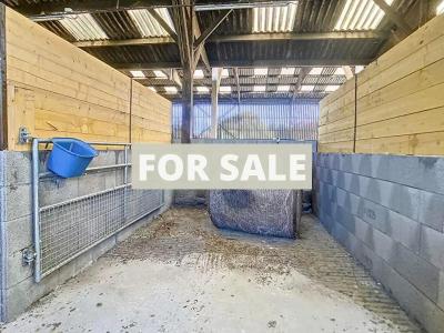 Equestrian Facilities with Stables and Main House