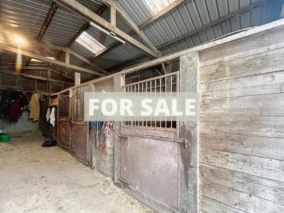 Former Farm Complex, Ideal Equestrian Opportunity