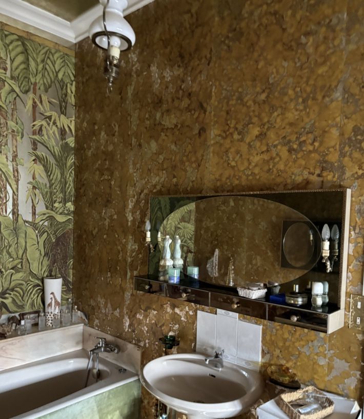 Manor House with Character and Garden