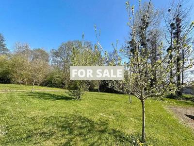 Detached Country House with Outbuilding