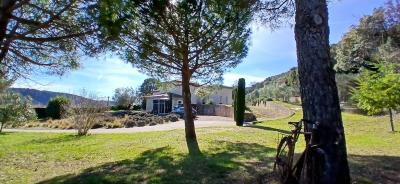 Superb High-end Single Storey Villa And Independent Guest Cottage