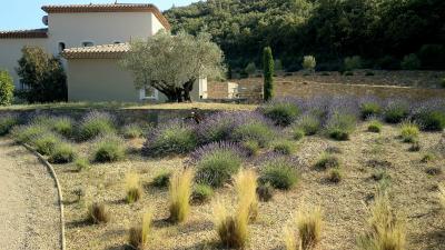 Superb High-end Single Storey Villa And Independent Guest Cottage