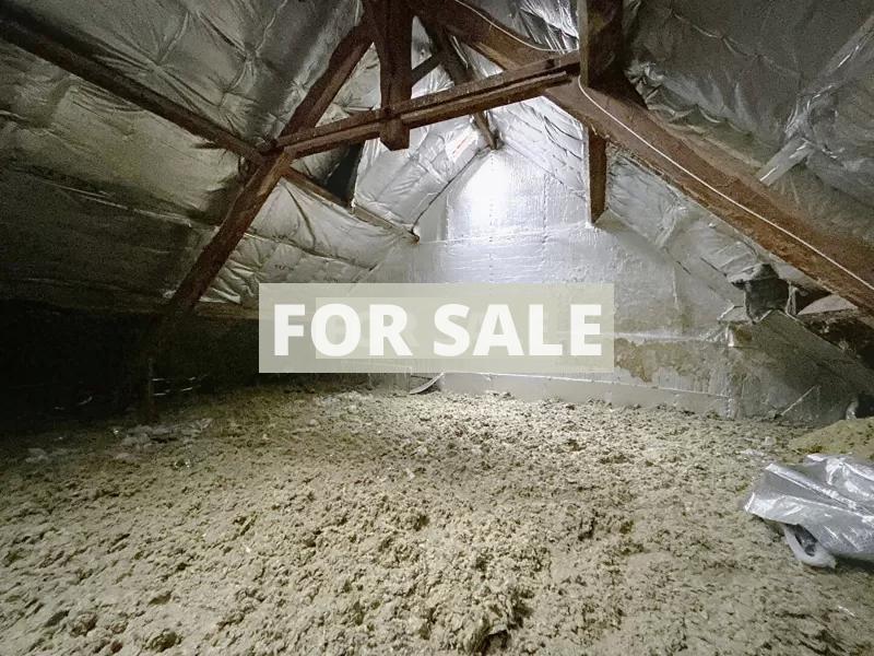 Detached House with Garden