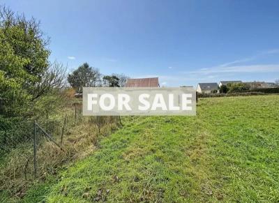 Detached House with Garden