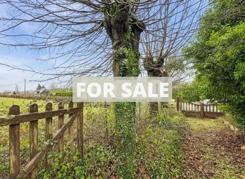 Detached House with Garden