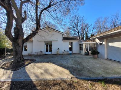 Beautiful House Close to The Canal