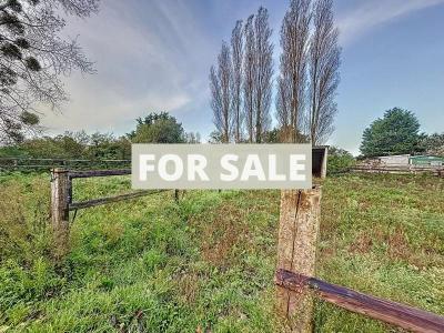 Barns and Land For Sale, Ideal for Horses