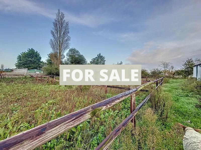 Barns and Land For Sale, Ideal for Horses