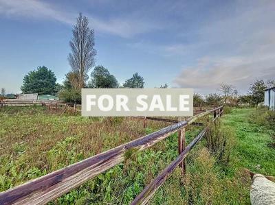 Barns and Land For Sale, Ideal for Horses