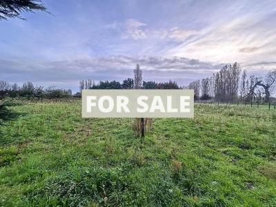 Barns and Land For Sale, Ideal for Horses