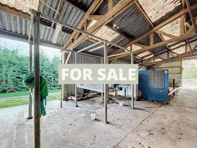Barns and Land For Sale, Ideal for Horses