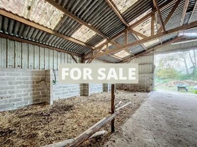 Barns and Land For Sale, Ideal for Horses