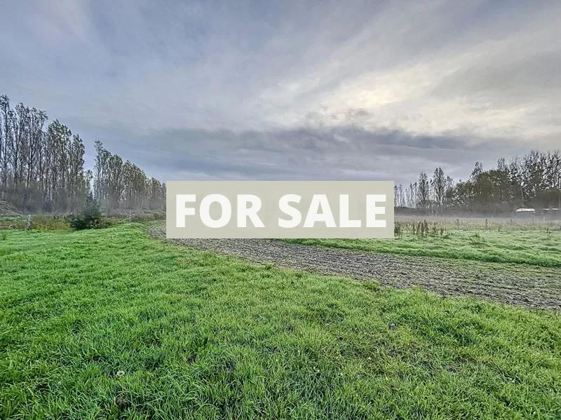 Barns and Land For Sale, Ideal for Horses