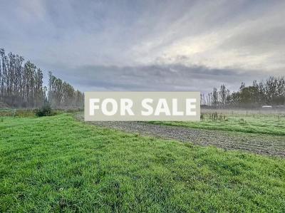 Barns and Land For Sale, Ideal for Horses