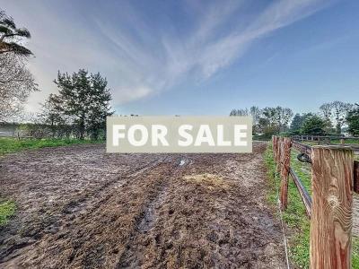 Barns and Land For Sale, Ideal for Horses