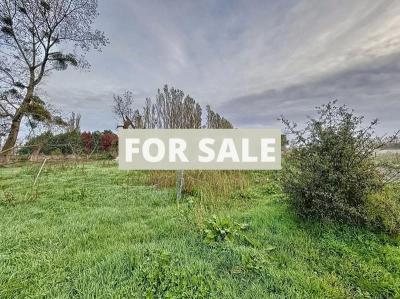 Barns and Land For Sale, Ideal for Horses