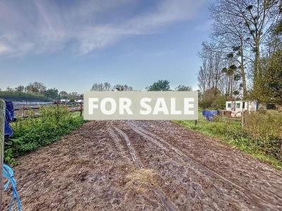 Barns and Land For Sale, Ideal for Horses