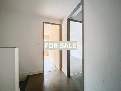 Two Properties with Gardens