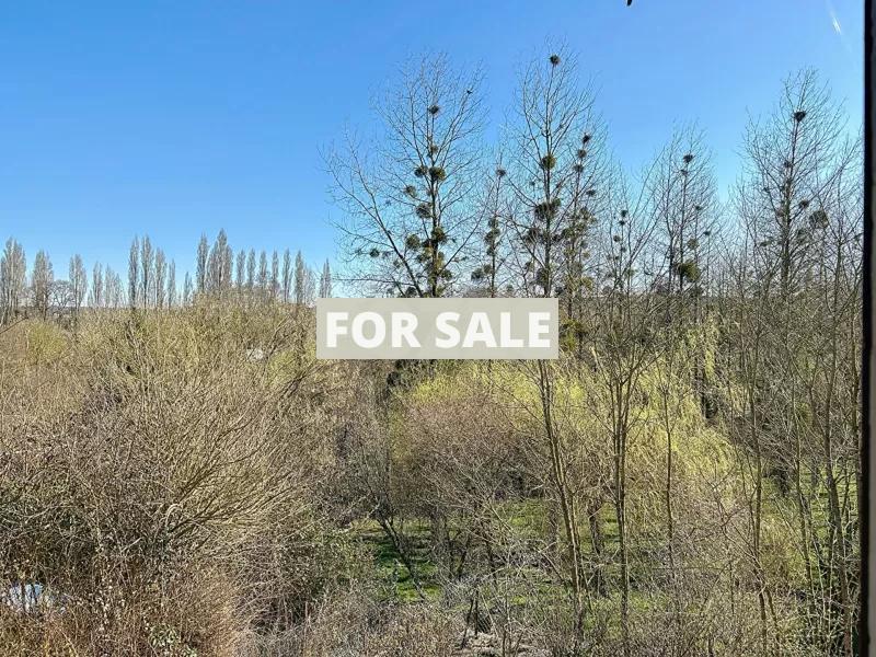 Two Properties with Gardens