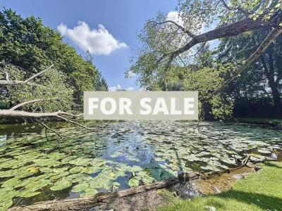 Stunning Detached House with Lake