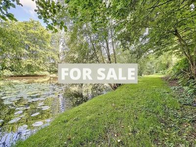 Stunning Detached House with Lake
