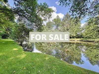 Stunning Detached House with Lake